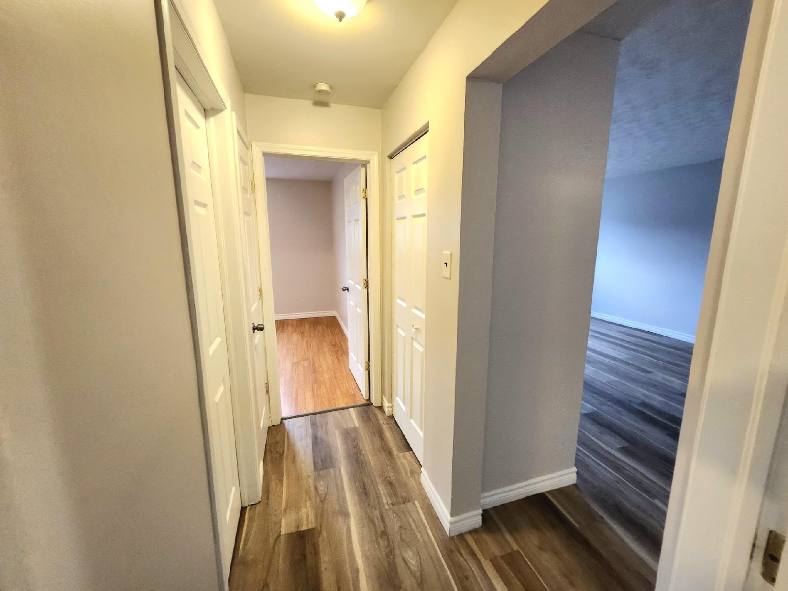 17 Scott Avenue - 9 property image