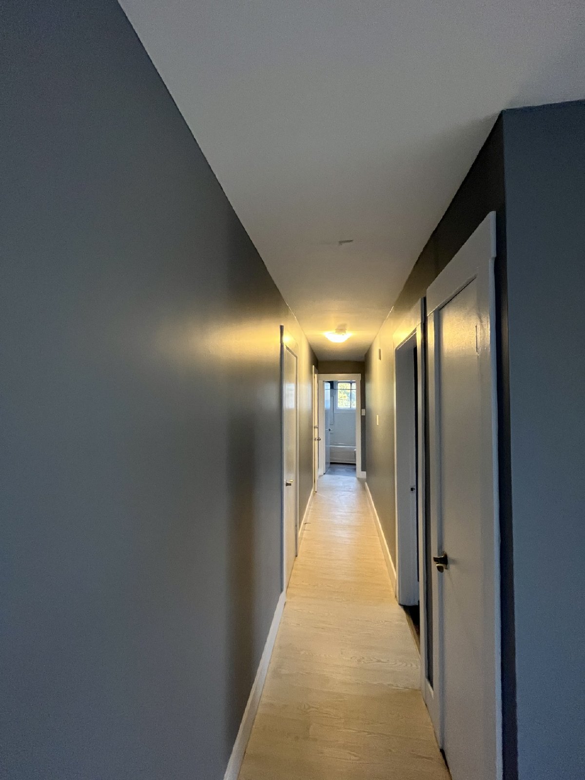 46 Terris Avenue - 5 property image