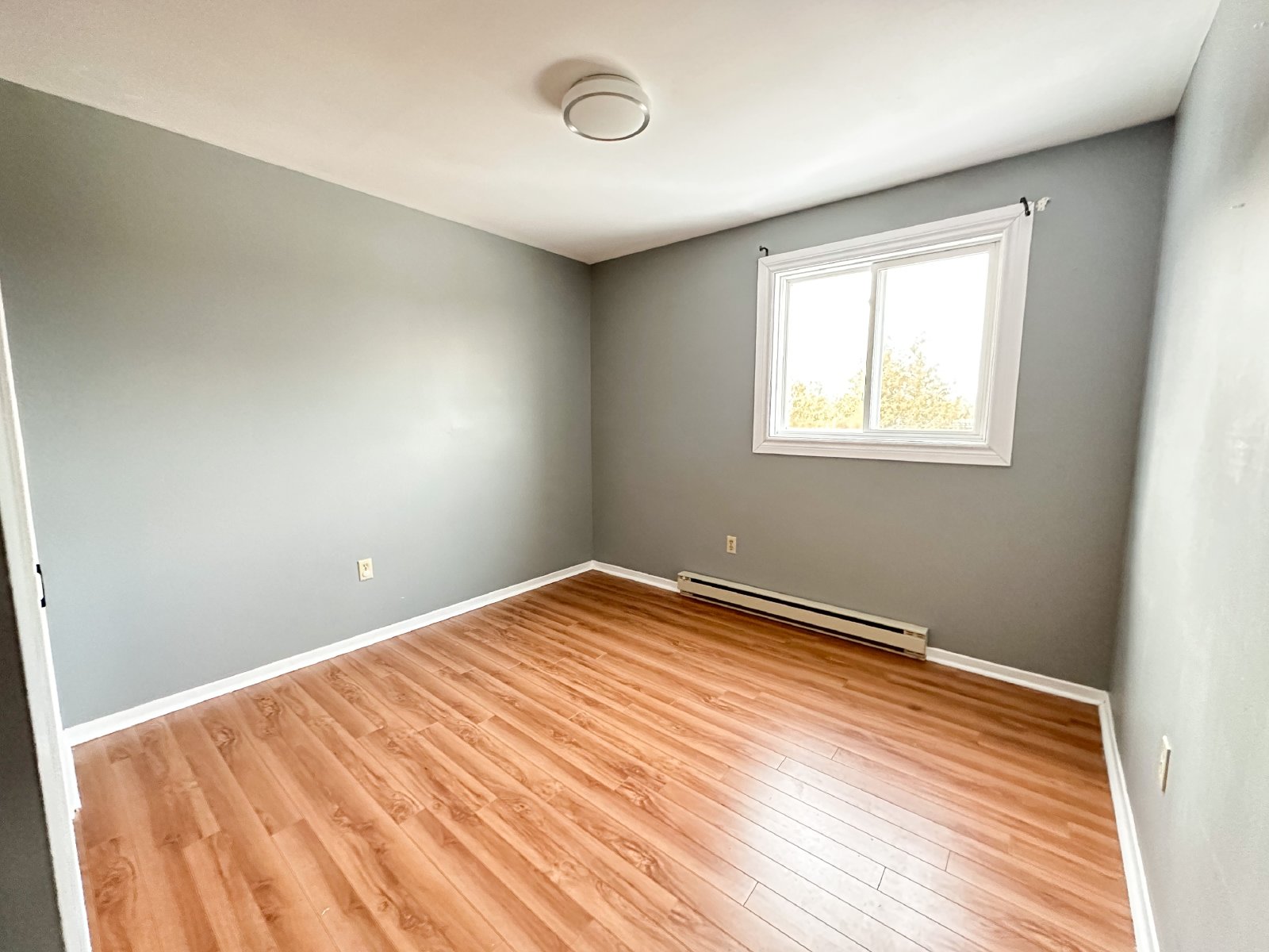 37 Dobbin Street - 14 property image