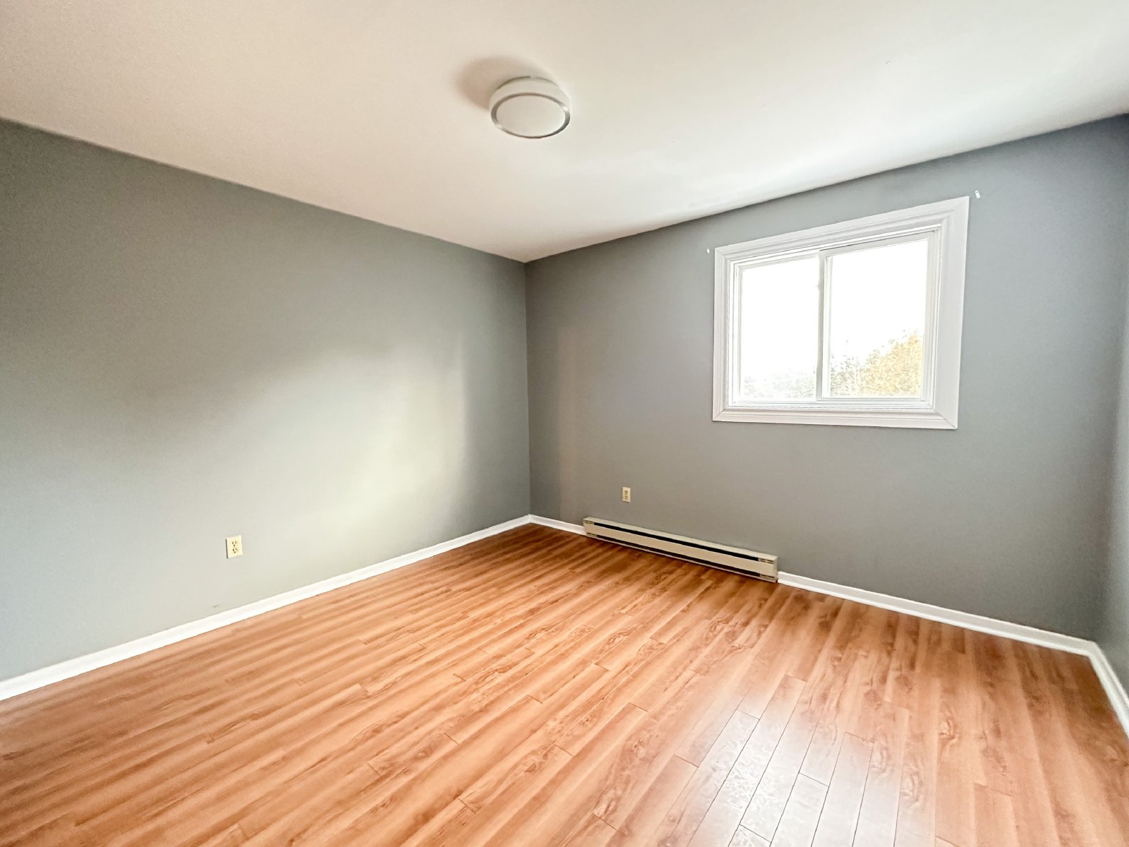 37 Dobbin Street - 14 property image