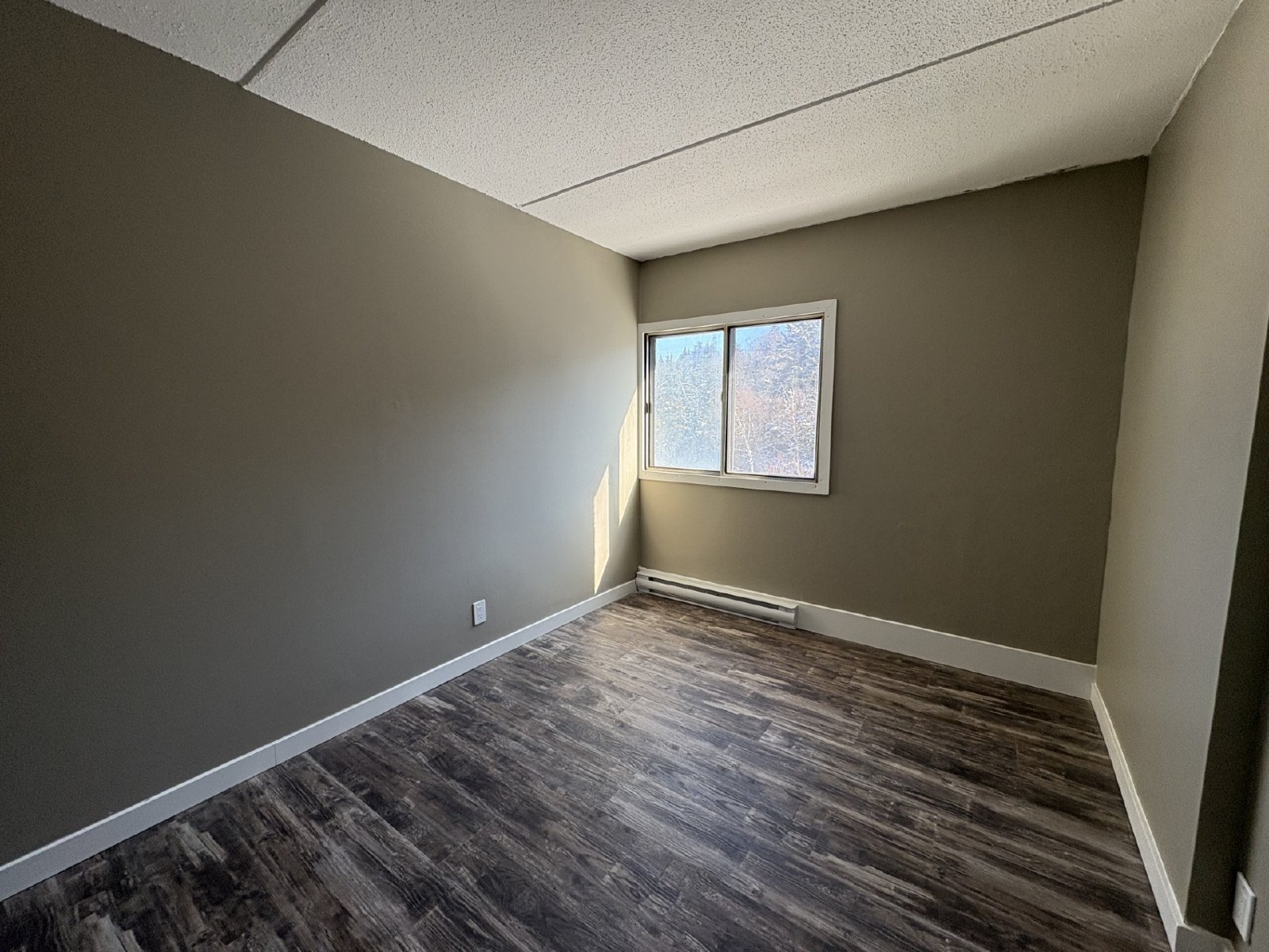 411 Ellerdale Street - 409 property image