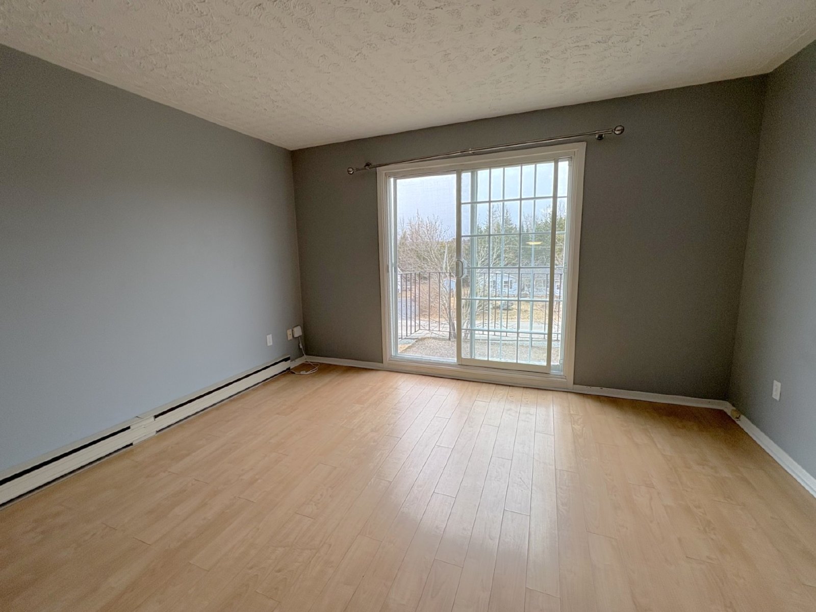 37 Dobbin Street - 14 property image