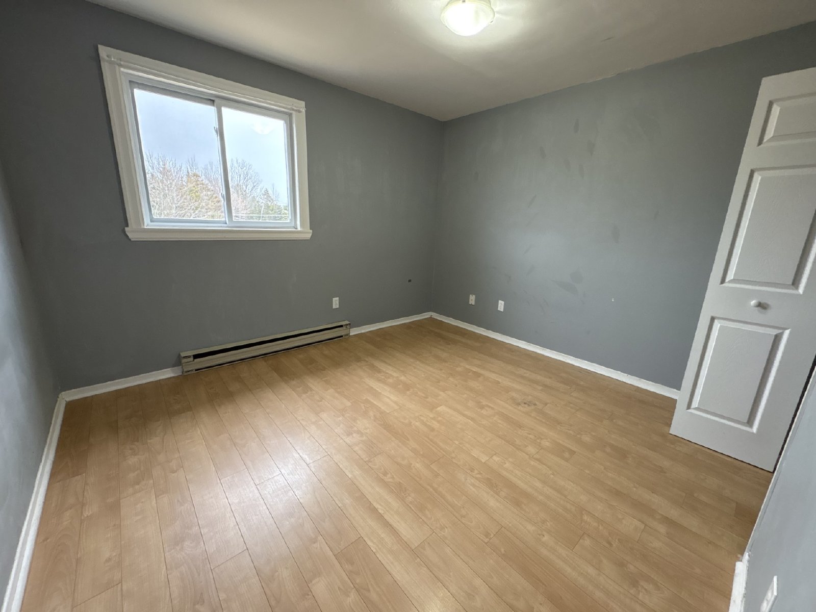 37 Dobbin Street - 14 property image