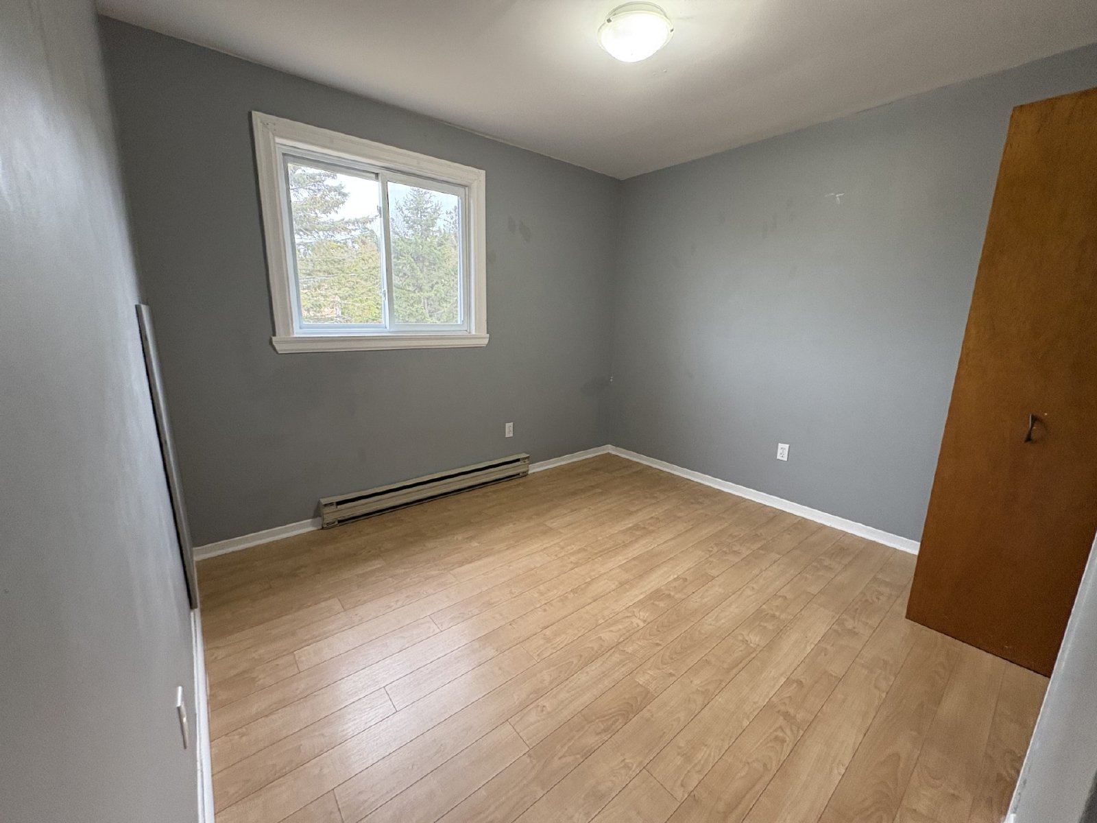 37 Dobbin Street - 14 property image