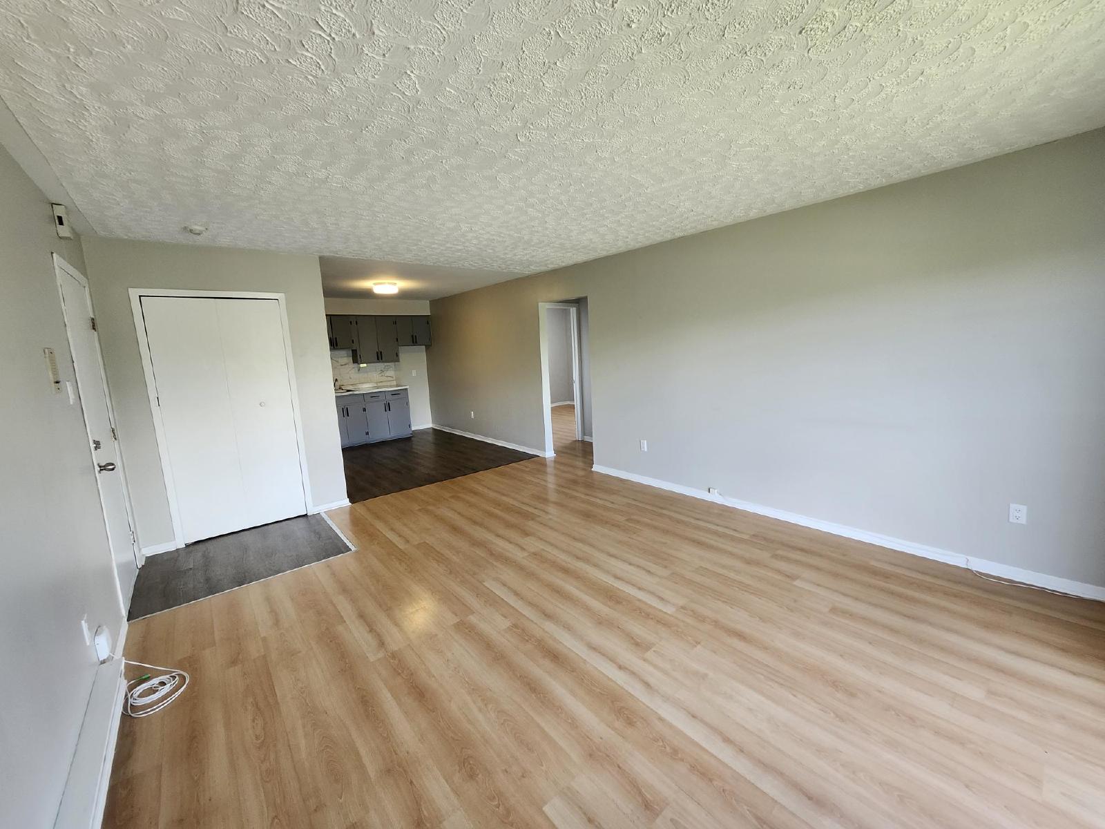 37 Dobbin Street - 13 property image