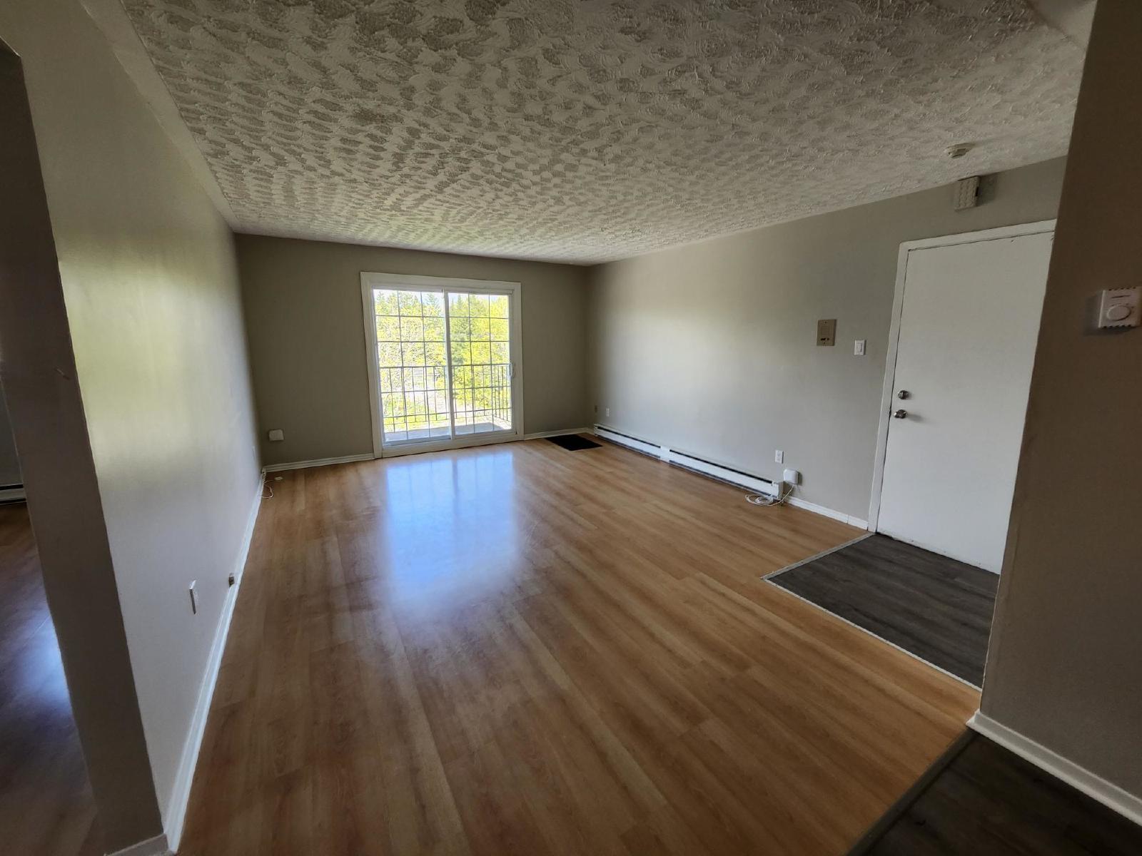 37 Dobbin Street - 13 property image