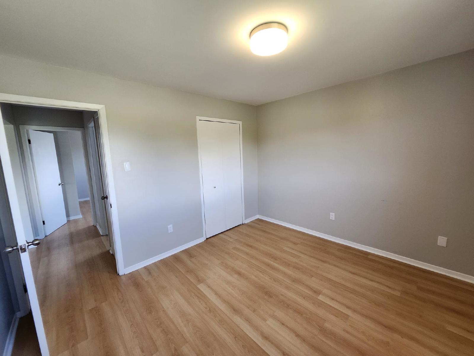 37 Dobbin Street - 13 property image