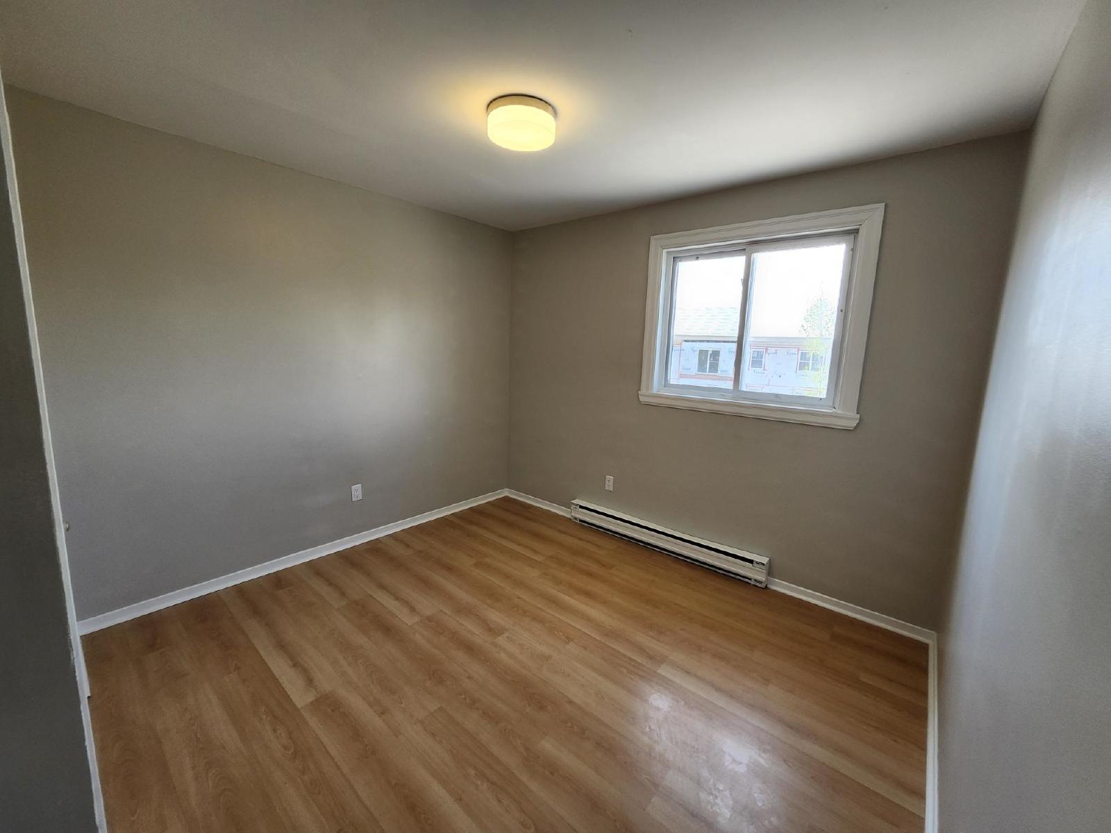 37 Dobbin Street - 13 property image