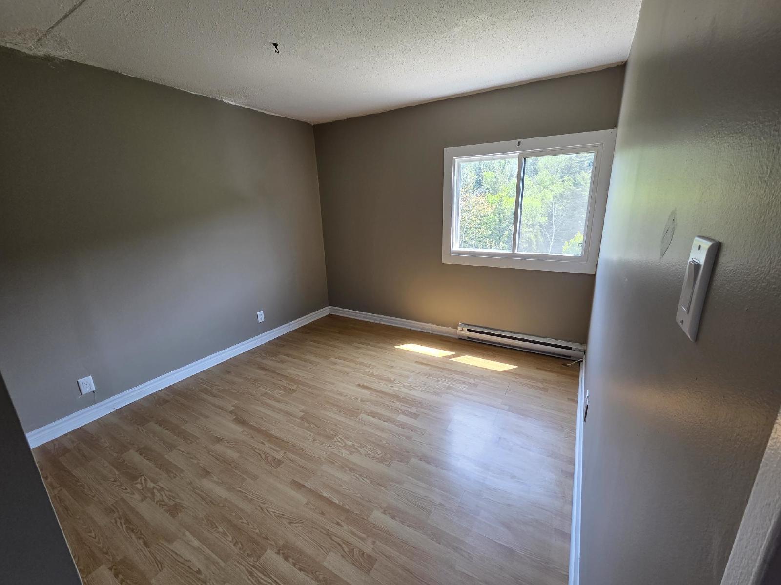 411 Ellerdale Street - 401 property image