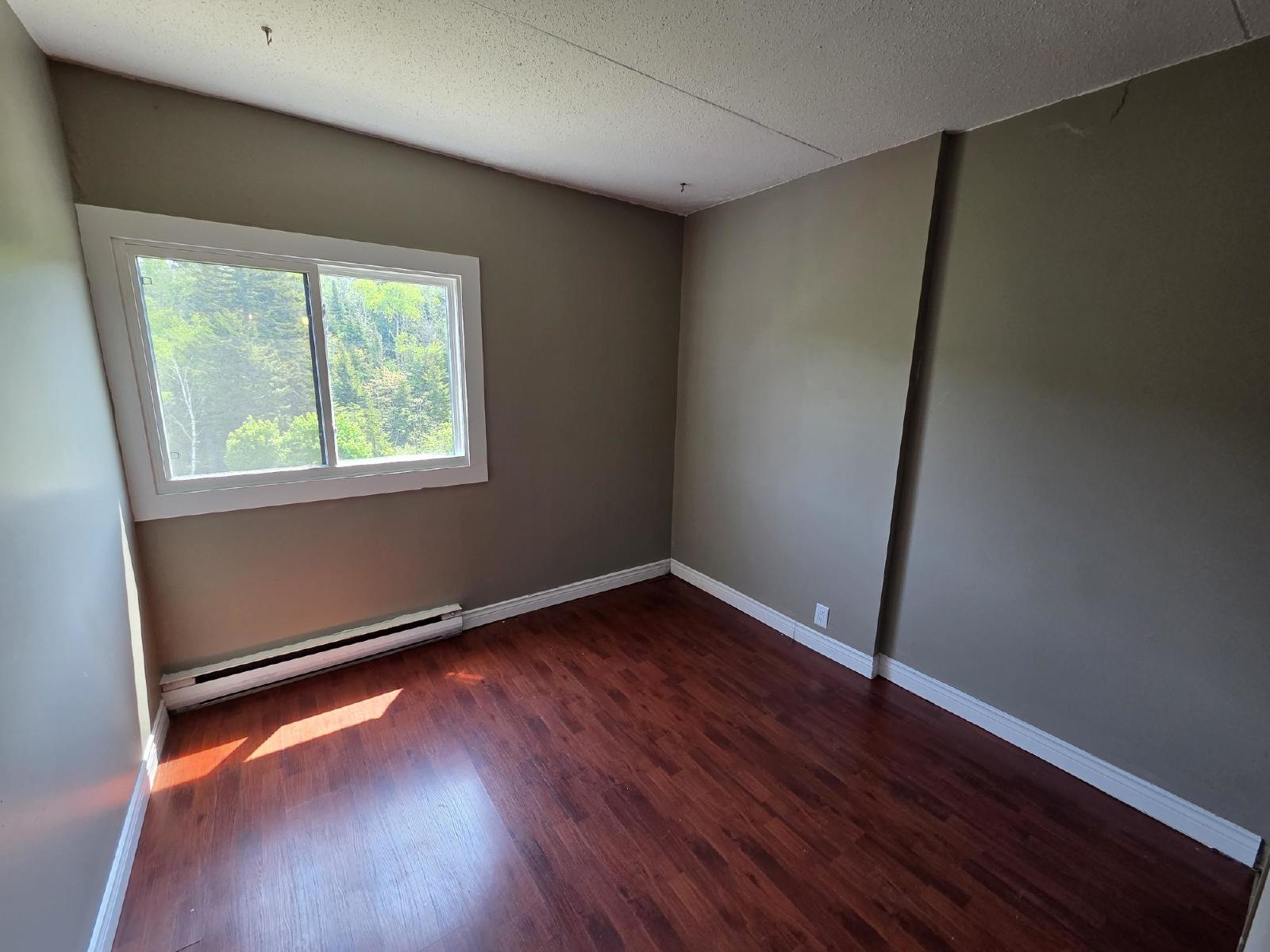 411 Ellerdale Street - 401 property image