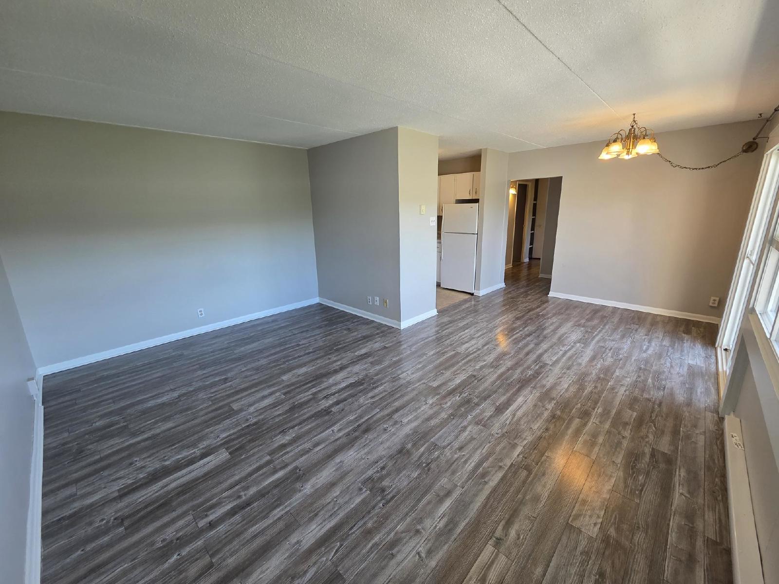 411 Ellerdale Street - 504 property image
