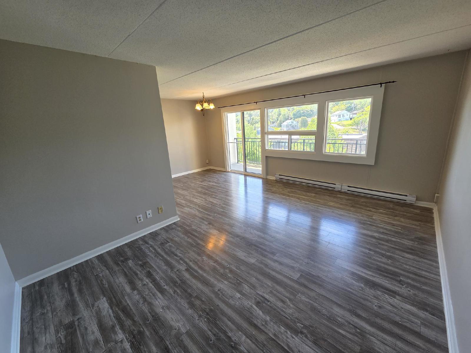 411 Ellerdale Street - 504 property image