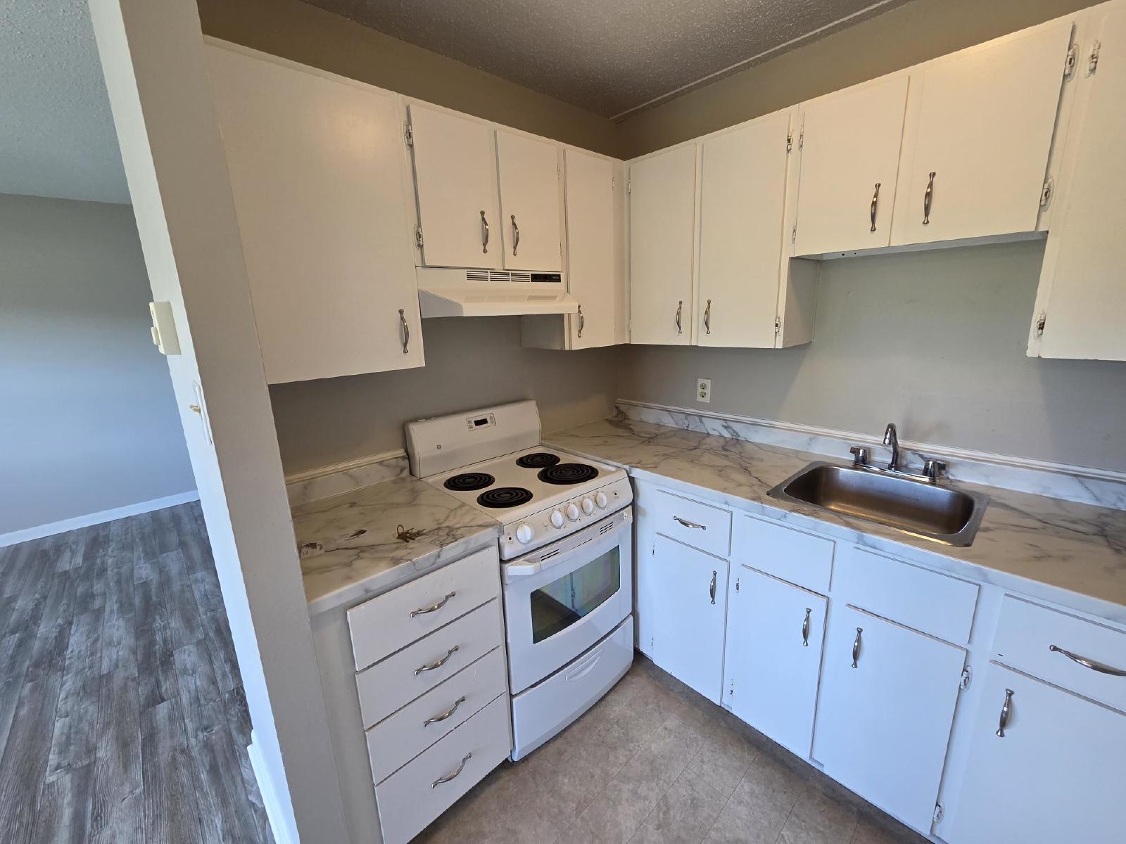 411 Ellerdale Street - 504 property image