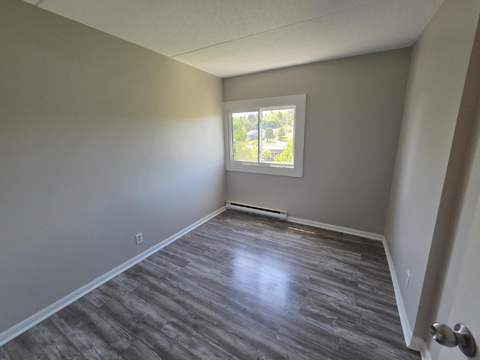 411 Ellerdale Street - 504 property image