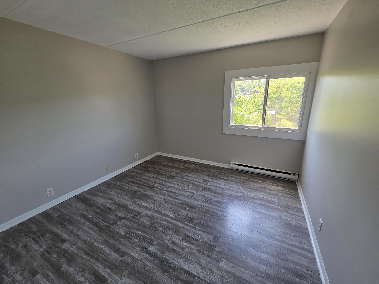 411 Ellerdale Street - 504 property image
