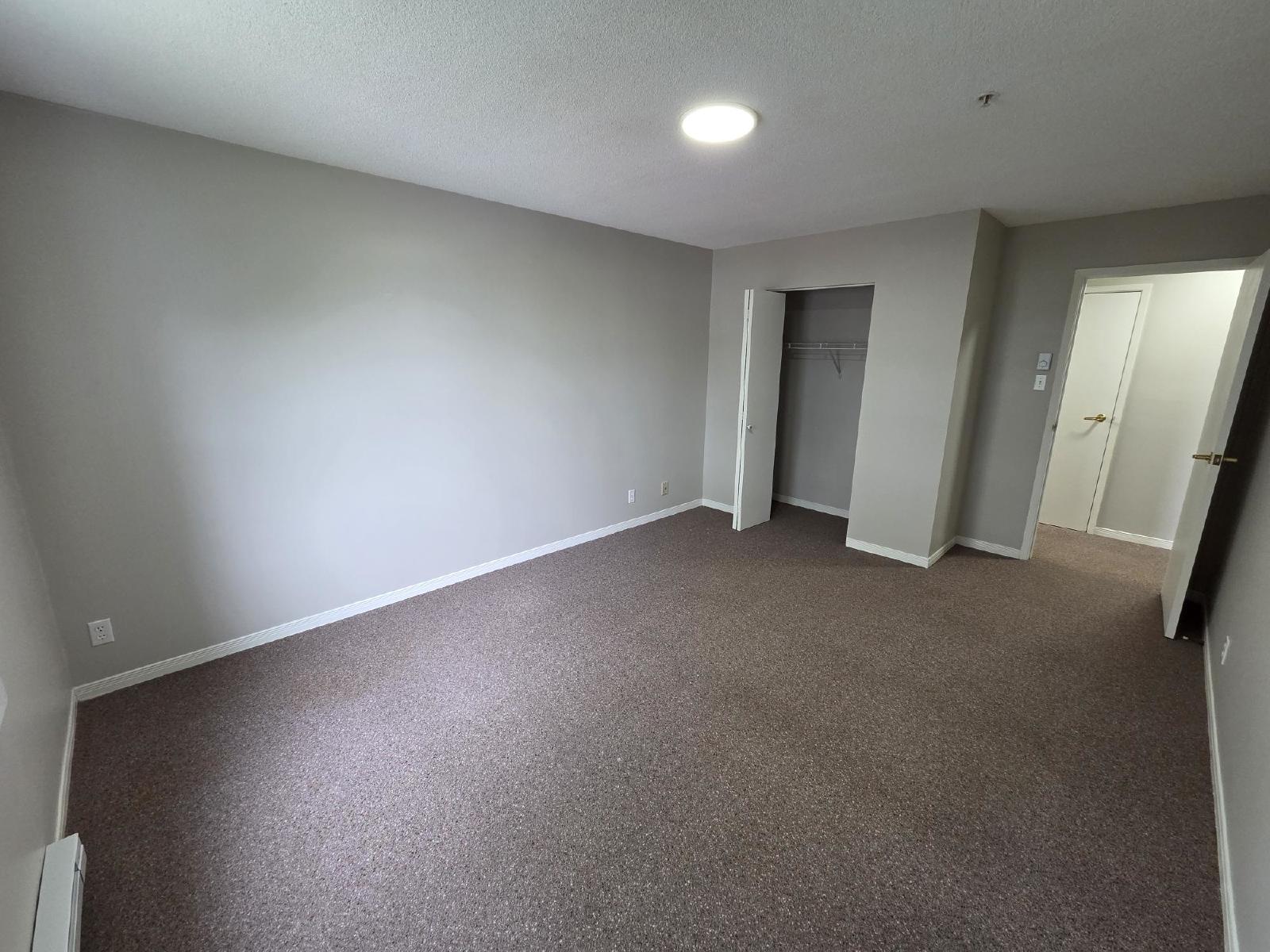 151 Queen Street - 213 property image
