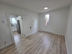 254-256 Britain Street - 256 property image
