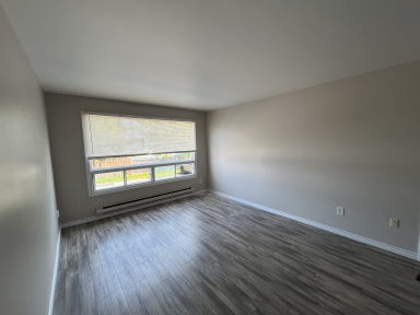 21 Verdun Street - 7 property image