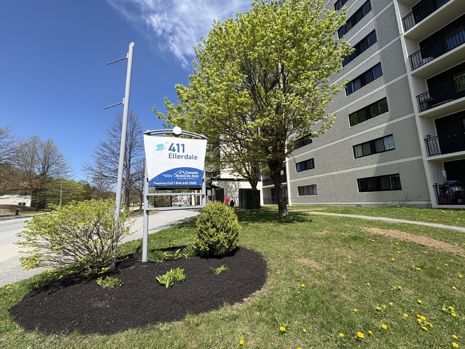 411 Ellerdale Street - 602 property image