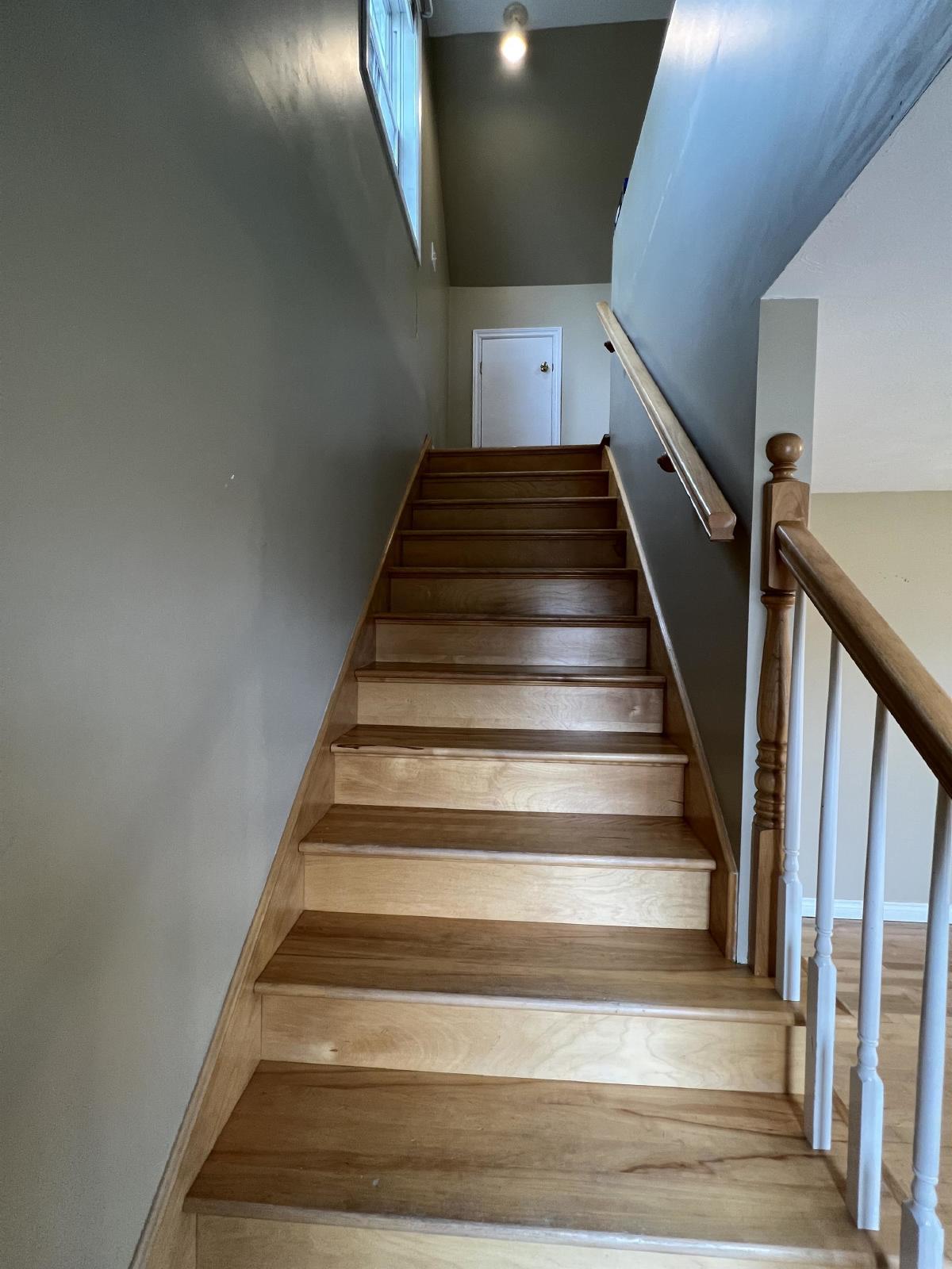 185 Rue Orleans - unit B property image
