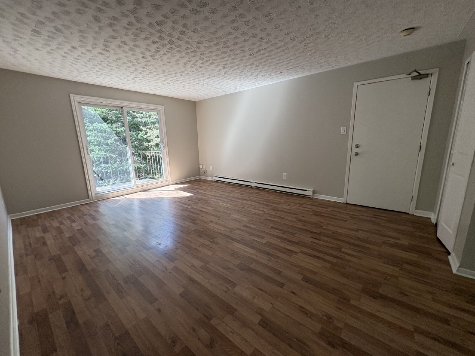 35 Dobbin Street - 11 property image