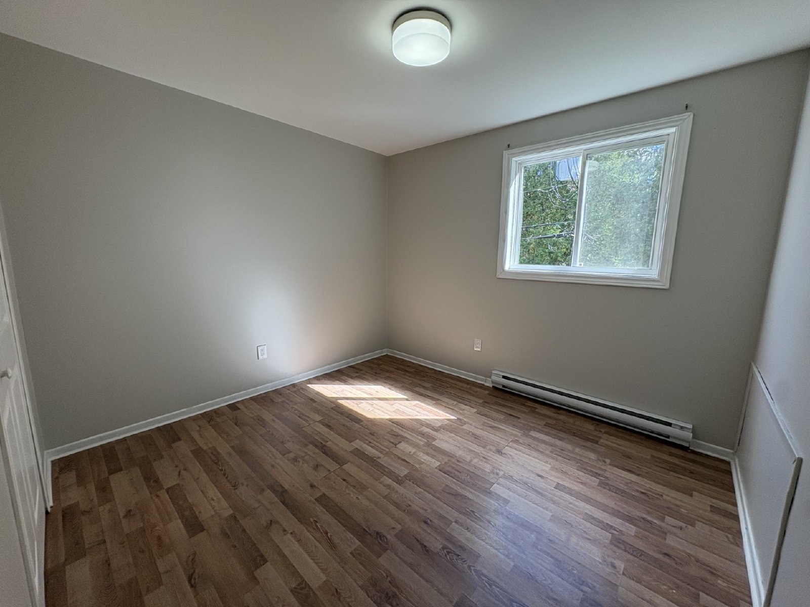 35 Dobbin Street - 11 property image