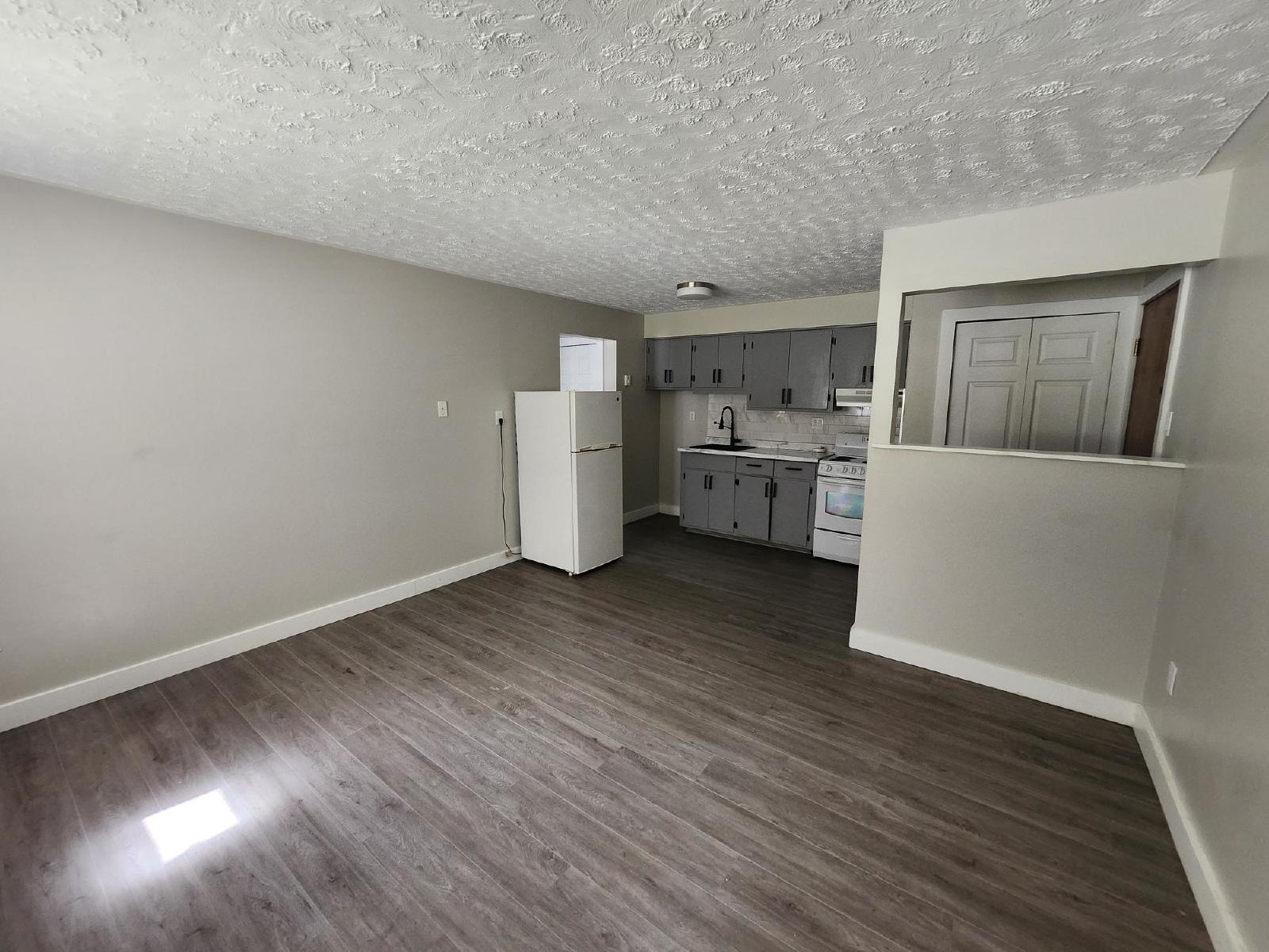 33 Dobbin Street - 4 property image