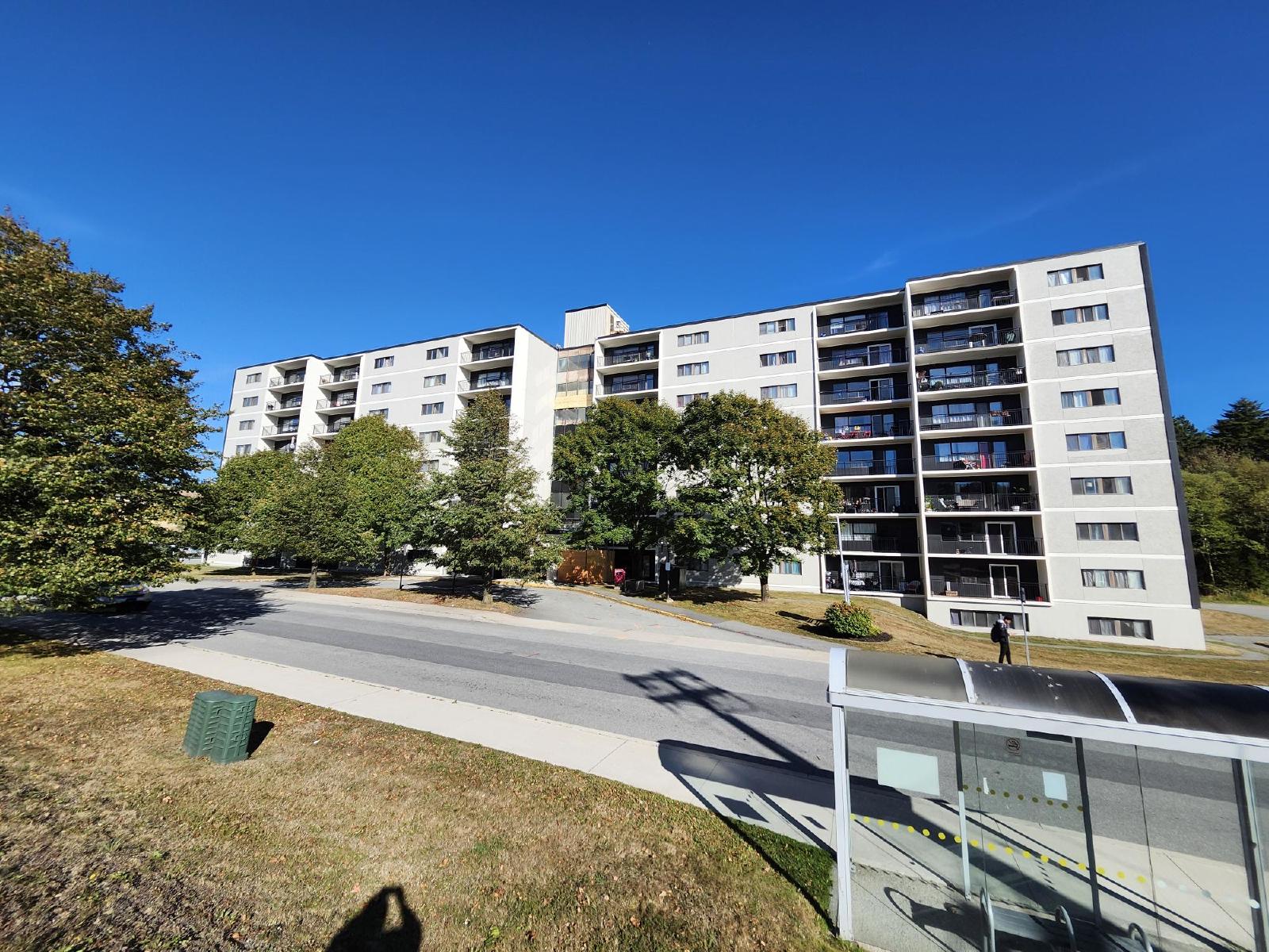 411 Ellerdale Street - 205 property image