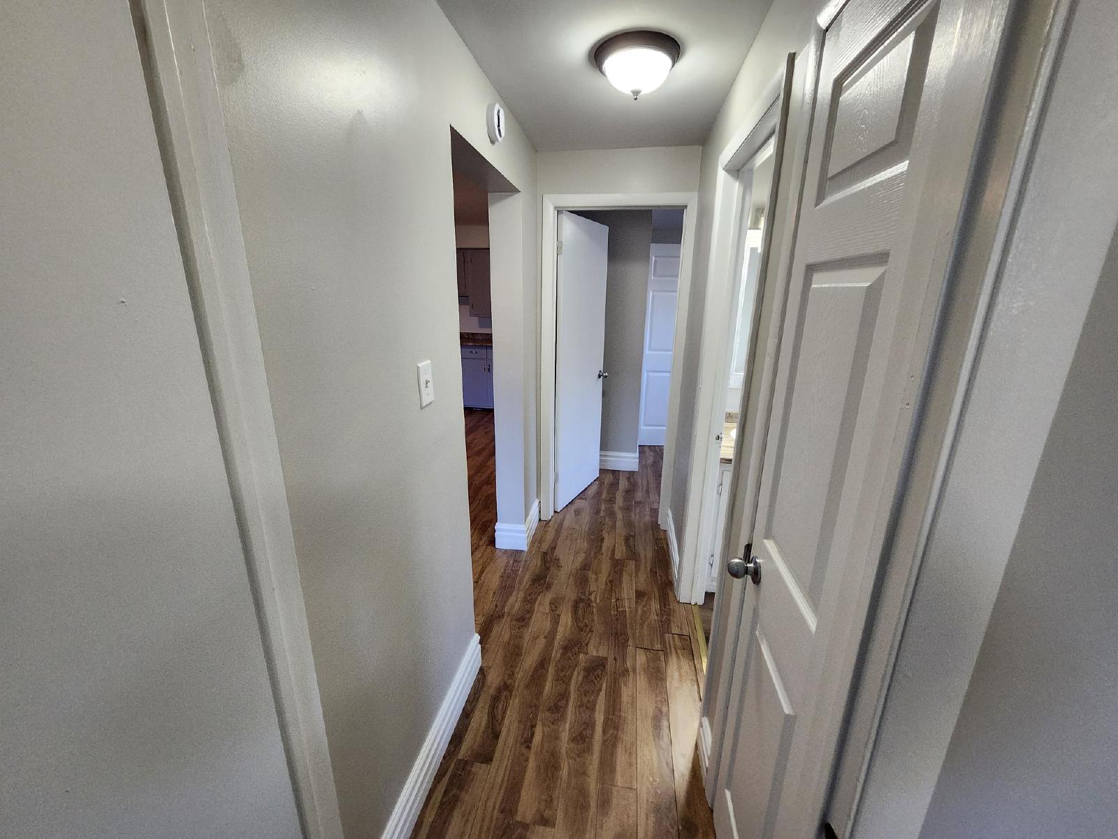 35 Dobbin Street - 1 property image