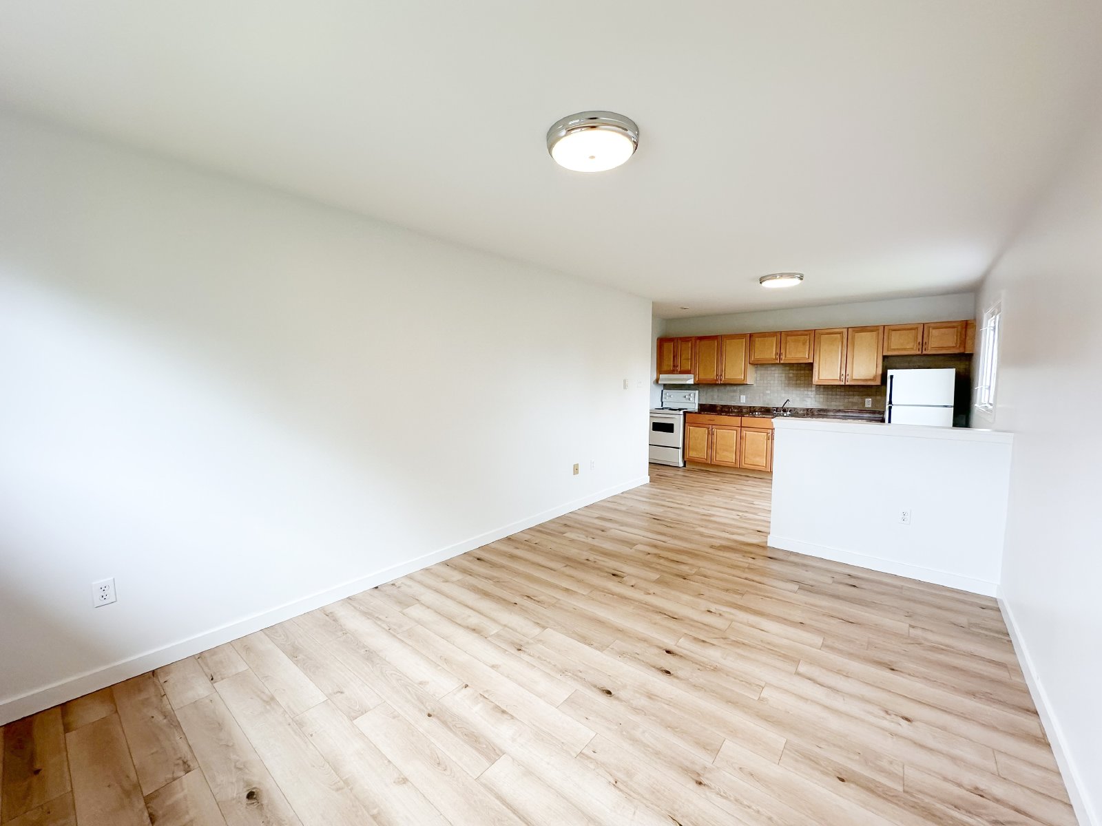 355 Prince Street - 13 property image