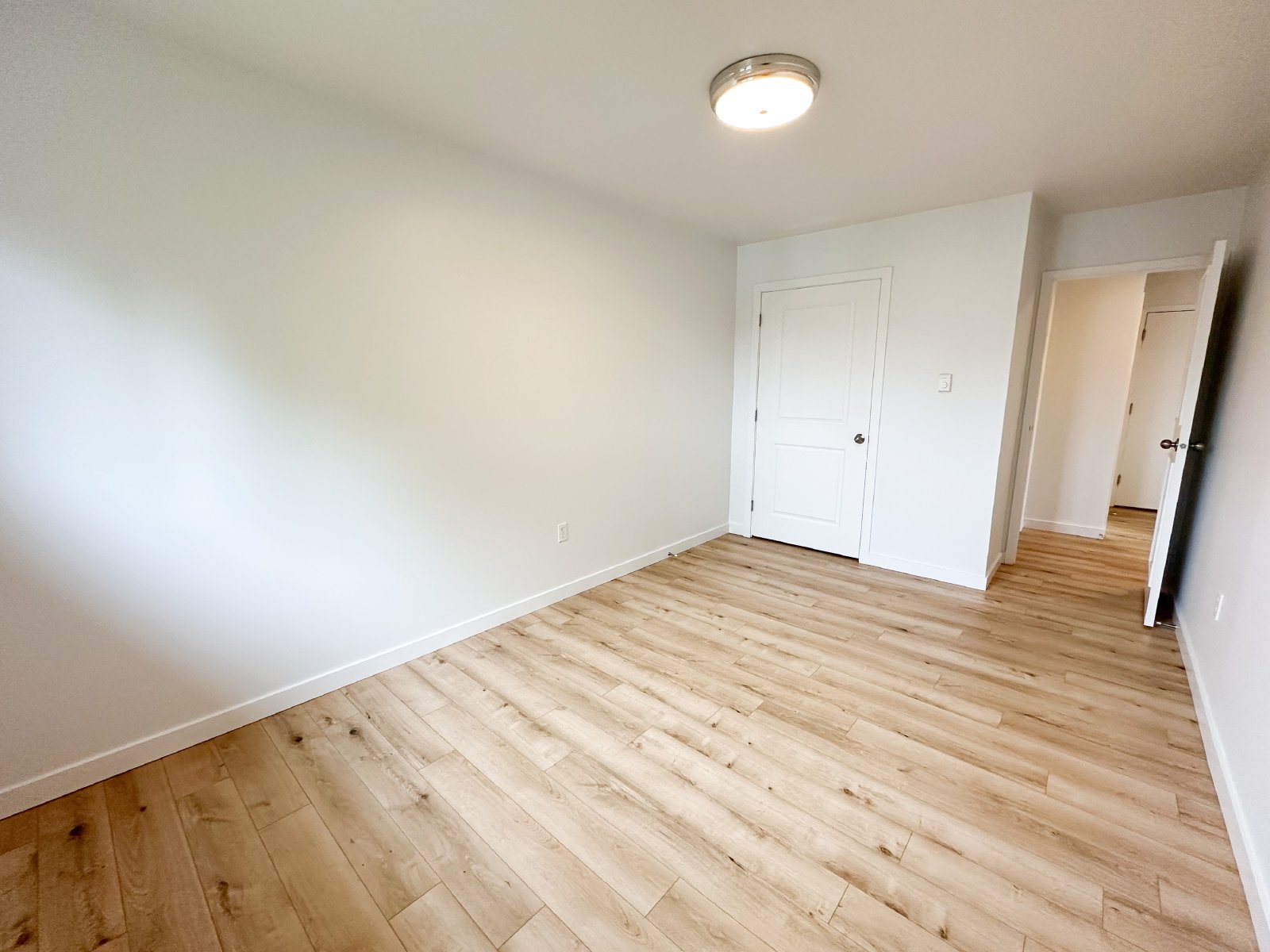 355 Prince Street - 13 property image