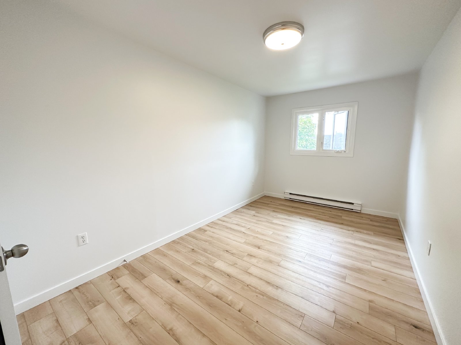 355 Prince Street - 13 property image