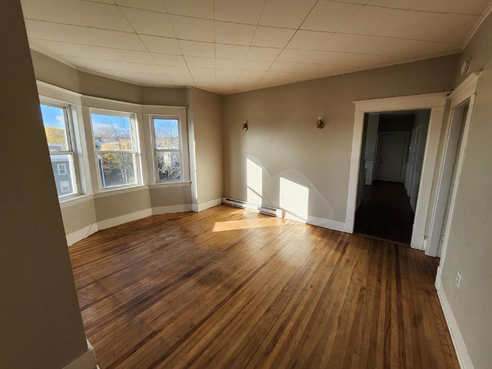 111 Metcalf Street/ 10 Elgin Street - 3 property image