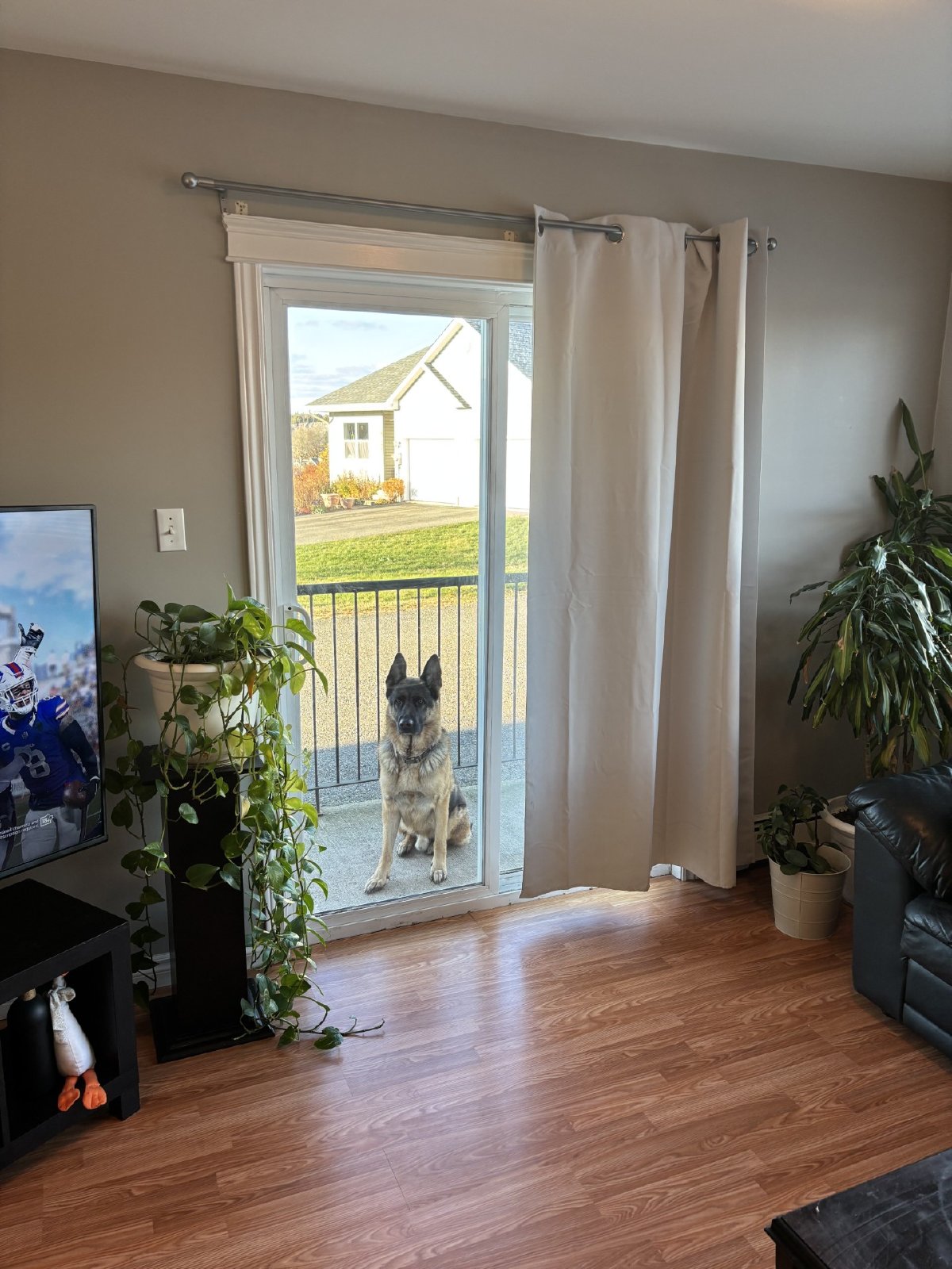 15 Magazine Street - 104 property image