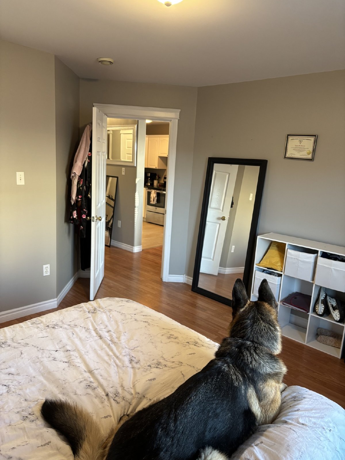 15 Magazine Street - 104 property image