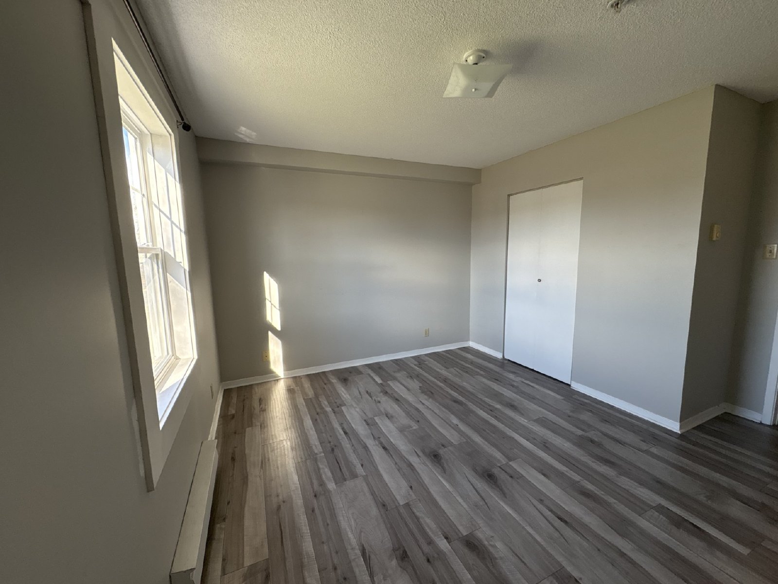 151 Queen Street - 221 property image