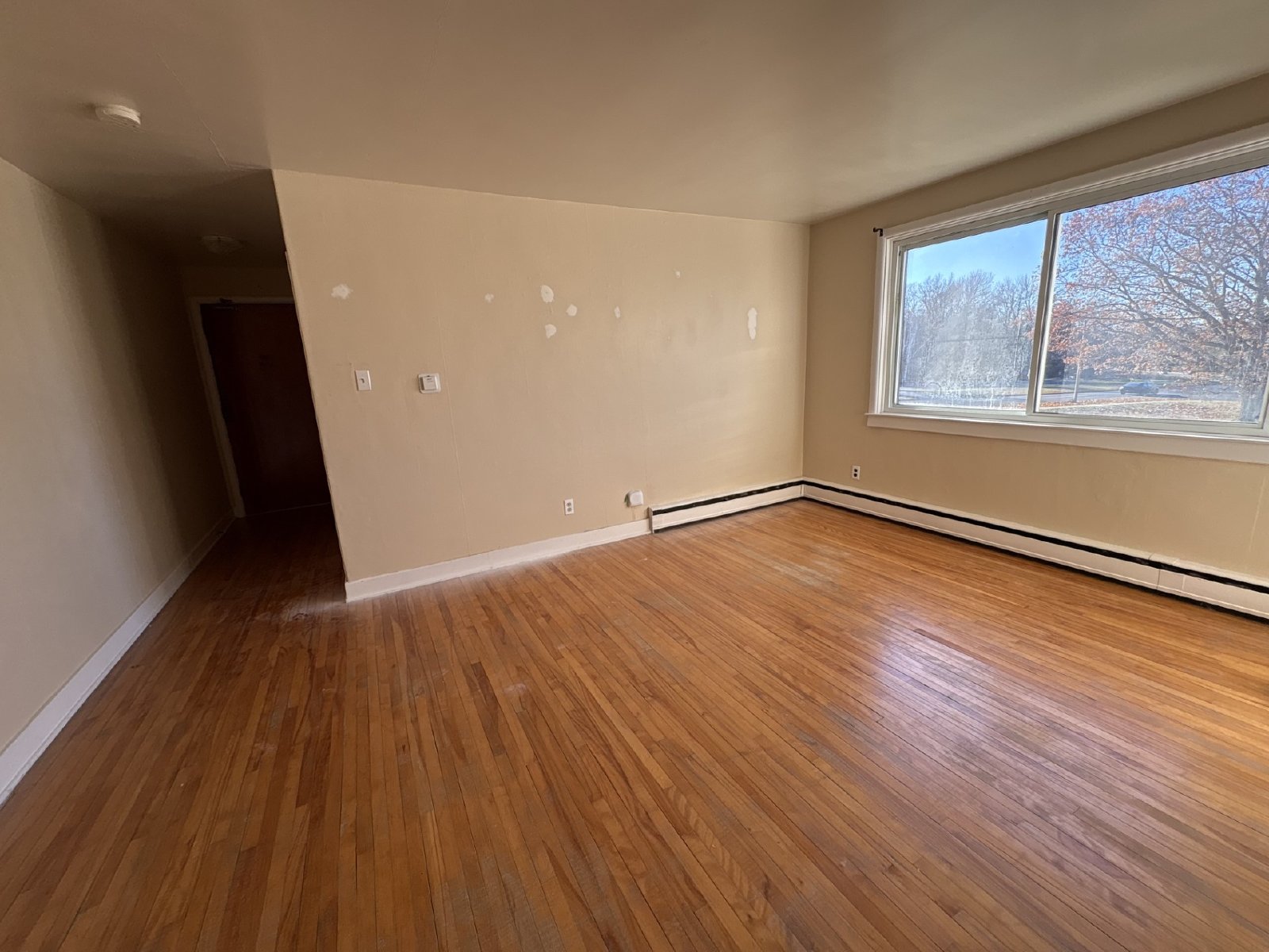 445 Covert Street - 6 property image